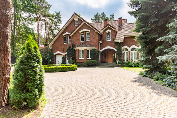 Best Driveway Paving Contractor  in Park City, TN