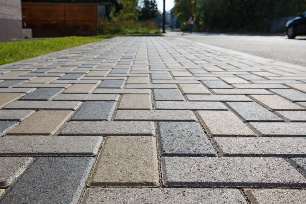 Best Best Driveway Pavers  in Park City, TN